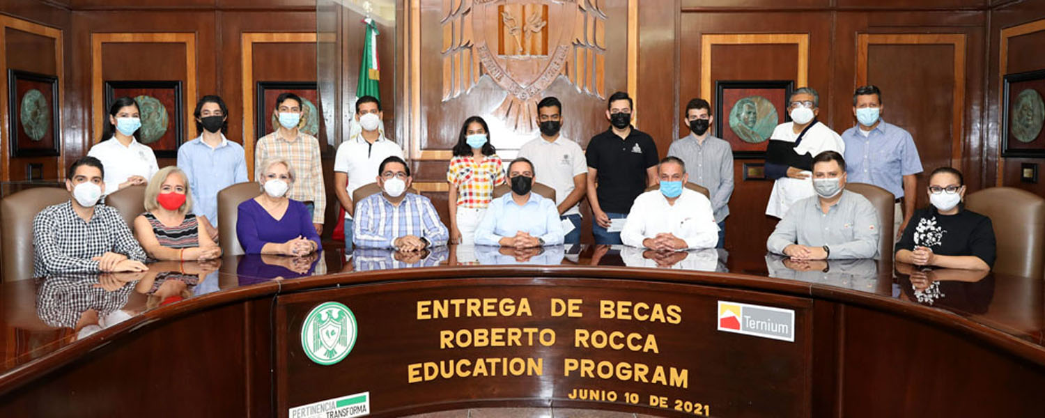 Thesis colima orgnzacional 08 image