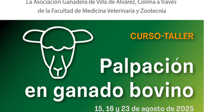 Impartirán UdeC y Asociación Ganadera de Villa de Álvarez, curso de palpación en ganado bovino
