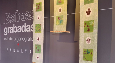 Museo Fernando del Paso, arte visual para  disfrutar y tomar conciencia, estas vacaciones